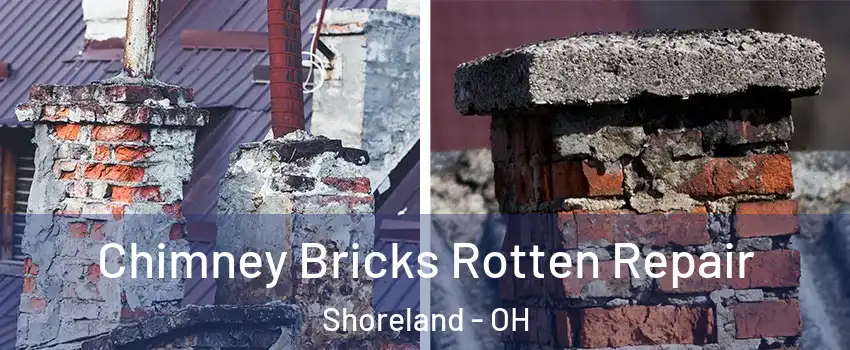 Chimney Bricks Rotten Repair Shoreland - OH