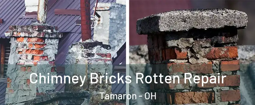 Chimney Bricks Rotten Repair Tamaron - OH