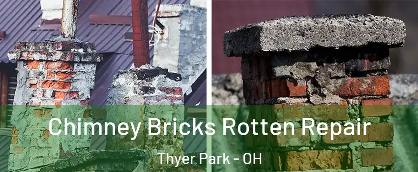 Chimney Bricks Rotten Repair Thyer Park - OH