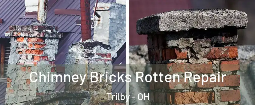 Chimney Bricks Rotten Repair Trilby - OH