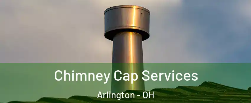Chimney Cap Services Arlington - OH