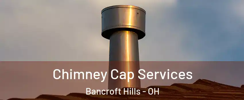 Chimney Cap Services Bancroft Hills - OH