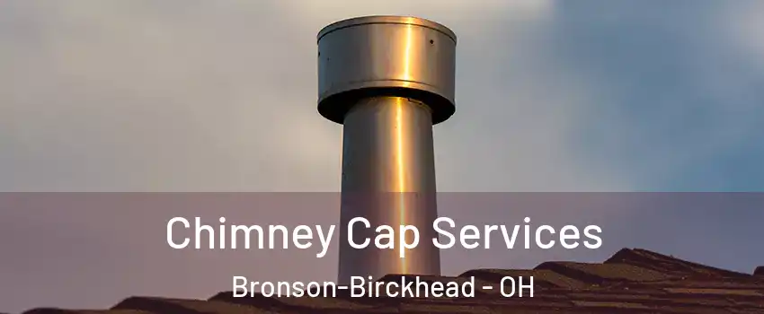 Chimney Cap Services Bronson-Birckhead - OH