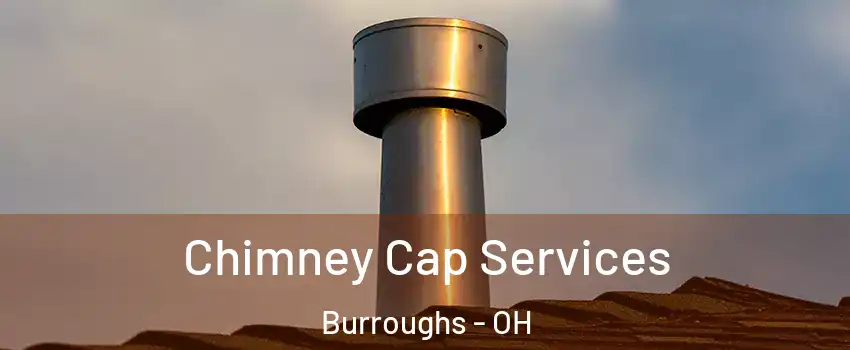 Chimney Cap Services Burroughs - OH