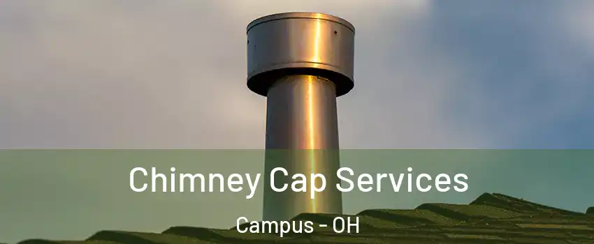 Chimney Cap Services Campus - OH