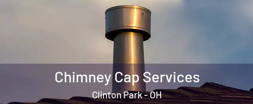 Chimney Cap Services Clinton Park - OH