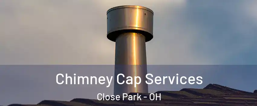 Chimney Cap Services Close Park - OH