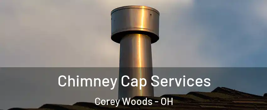 Chimney Cap Services Corey Woods - OH