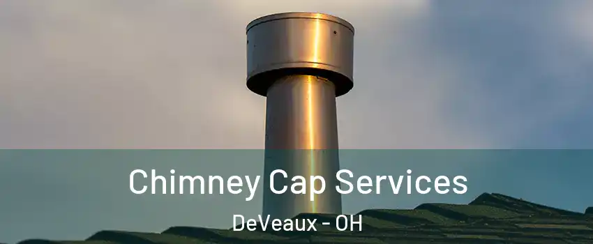 Chimney Cap Services DeVeaux - OH