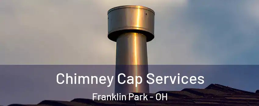 Chimney Cap Services Franklin Park - OH