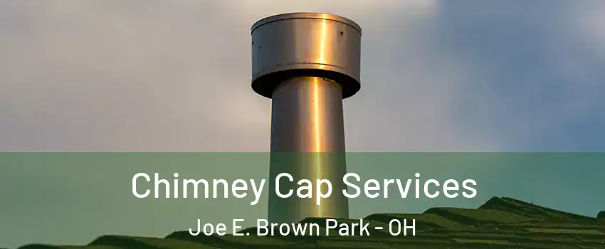 Chimney Cap Services Joe E. Brown Park - OH