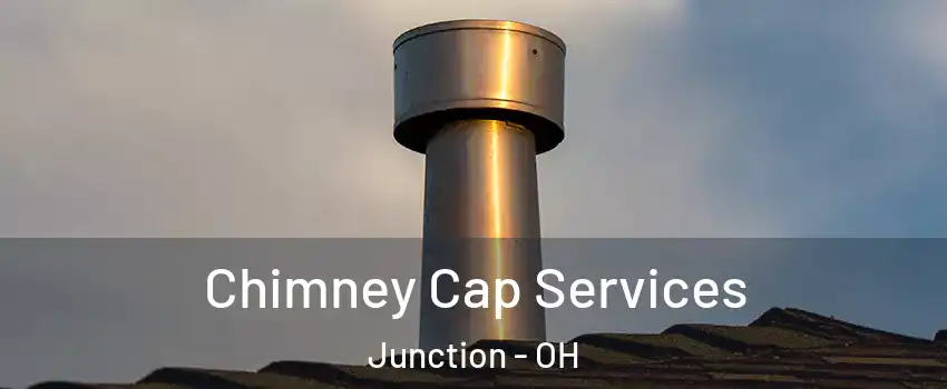 Chimney Cap Services Junction - OH