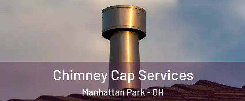 Chimney Cap Services Manhattan Park - OH