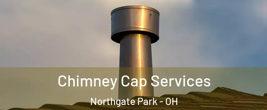 Chimney Cap Services Northgate Park - OH