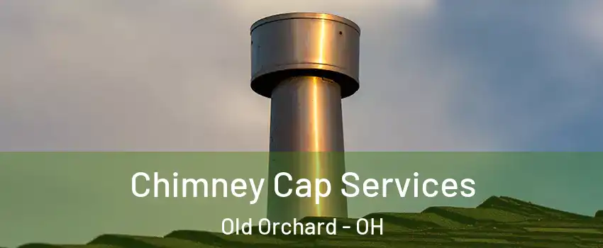 Chimney Cap Services Old Orchard - OH