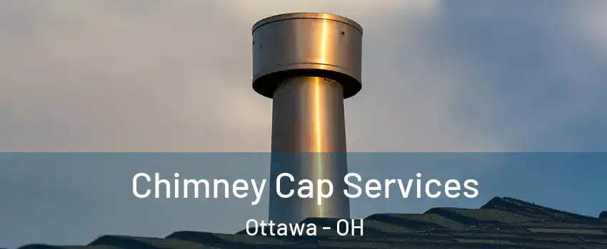 Chimney Cap Services Ottawa - OH