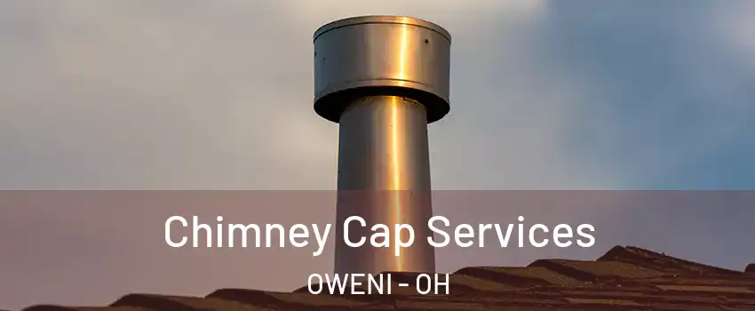 Chimney Cap Services OWENI - OH