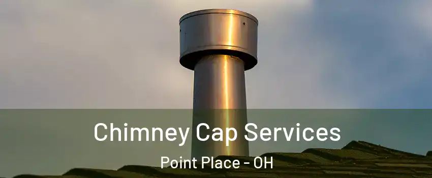 Chimney Cap Services Point Place - OH