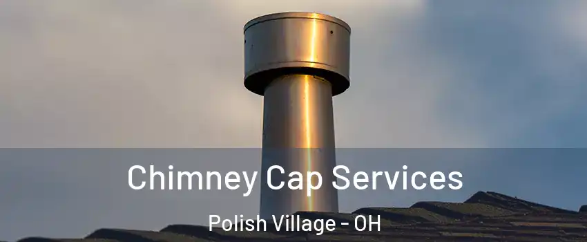 Chimney Cap Services Polish Village - OH
