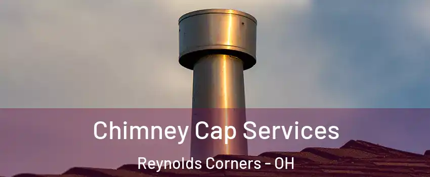 Chimney Cap Services Reynolds Corners - OH