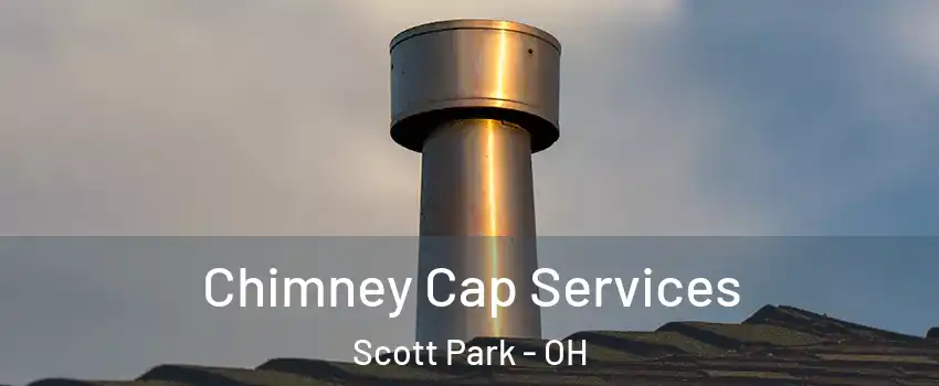 Chimney Cap Services Scott Park - OH
