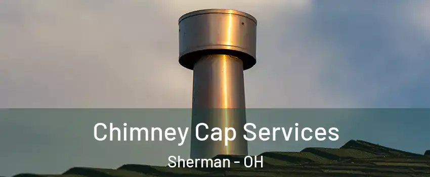 Chimney Cap Services Sherman - OH