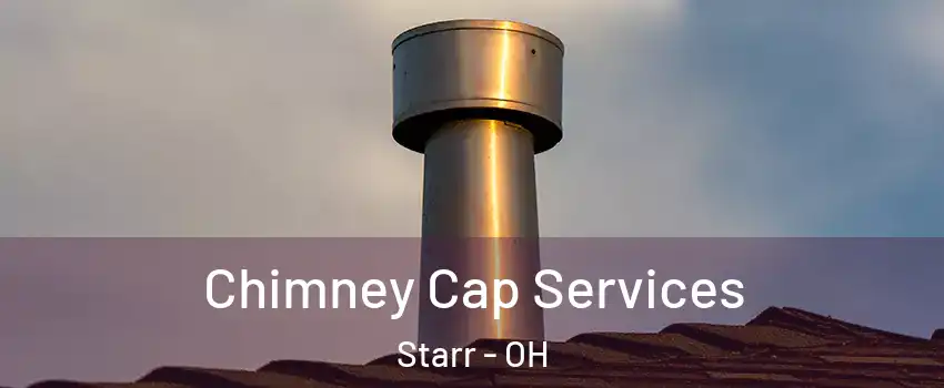 Chimney Cap Services Starr - OH