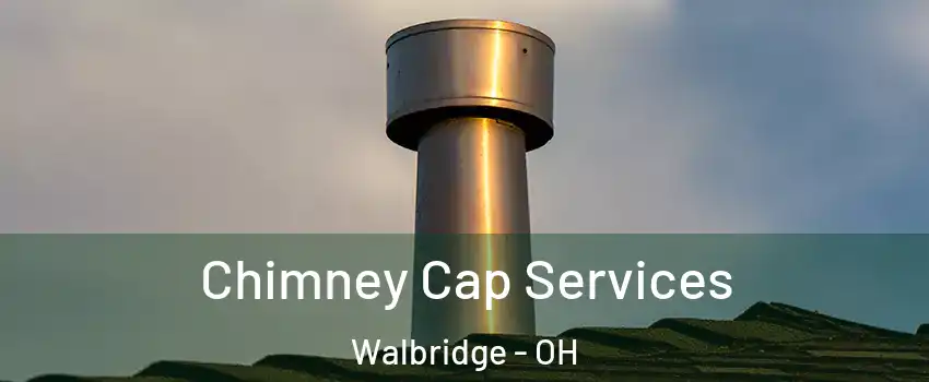 Chimney Cap Services Walbridge - OH