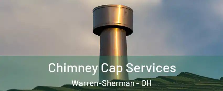 Chimney Cap Services Warren-Sherman - OH