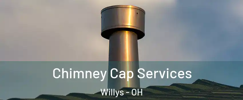 Chimney Cap Services Willys - OH