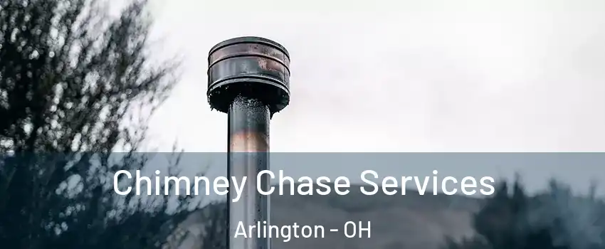 Chimney Chase Services Arlington - OH