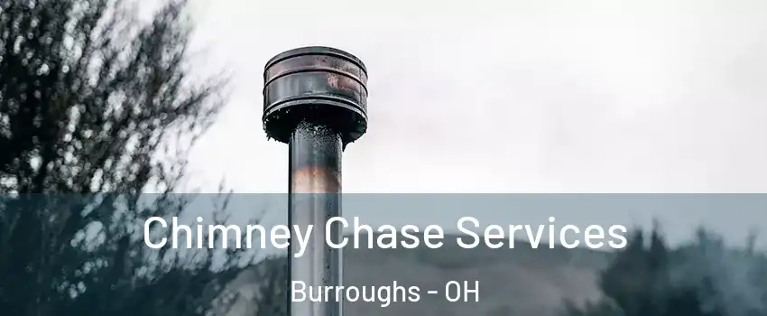 Chimney Chase Services Burroughs - OH