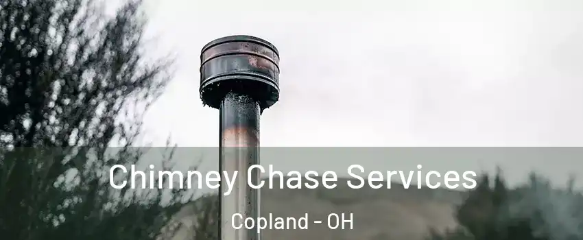 Chimney Chase Services Copland - OH