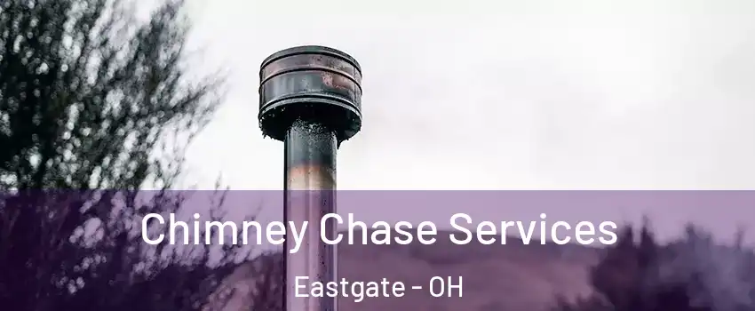 Chimney Chase Services Eastgate - OH
