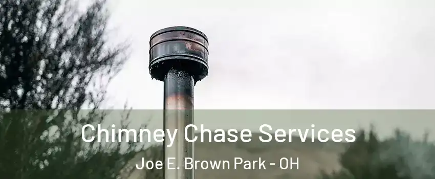 Chimney Chase Services Joe E. Brown Park - OH