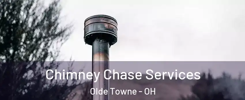 Chimney Chase Services Olde Towne - OH