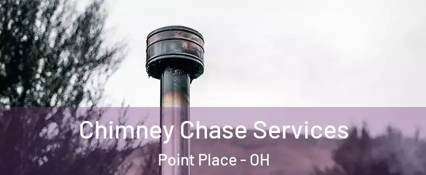 Chimney Chase Services Point Place - OH