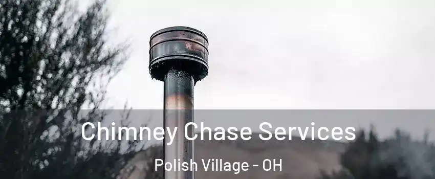 Chimney Chase Services Polish Village - OH