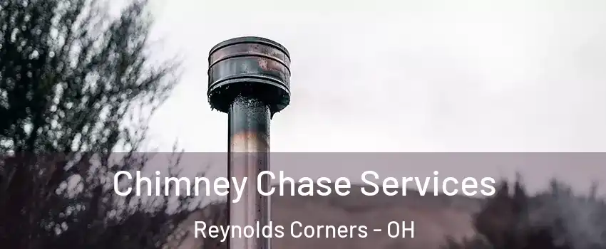 Chimney Chase Services Reynolds Corners - OH