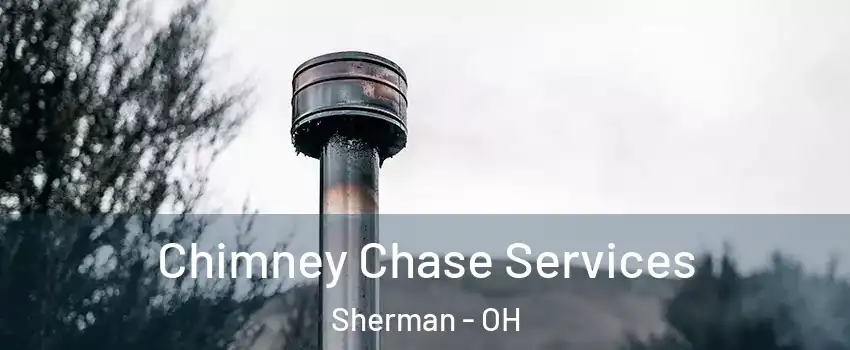 Chimney Chase Services Sherman - OH