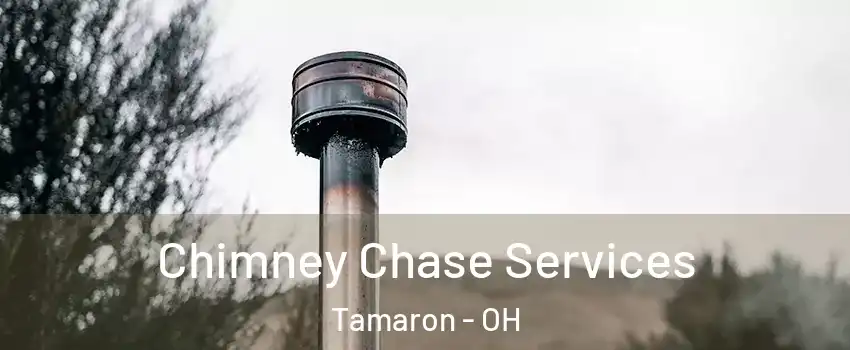 Chimney Chase Services Tamaron - OH