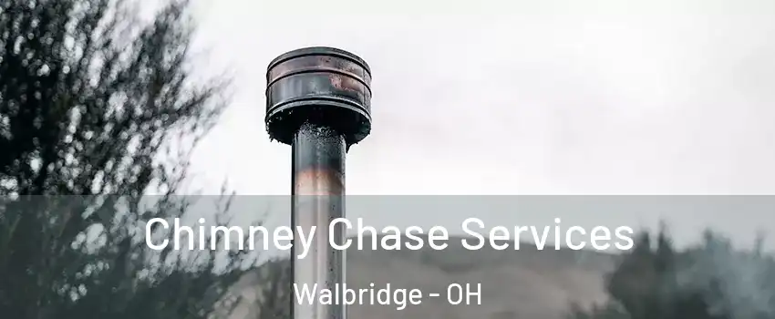 Chimney Chase Services Walbridge - OH