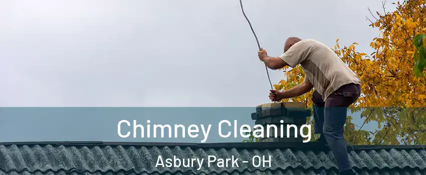 Chimney Cleaning Asbury Park - OH