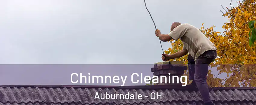 Chimney Cleaning Auburndale - OH