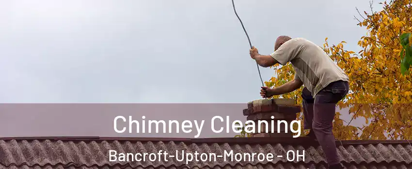 Chimney Cleaning Bancroft-Upton-Monroe - OH