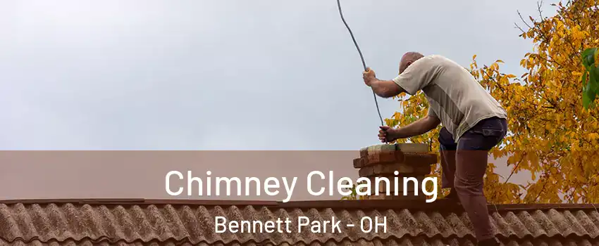 Chimney Cleaning Bennett Park - OH