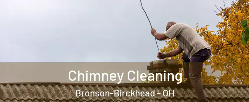 Chimney Cleaning Bronson-Birckhead - OH