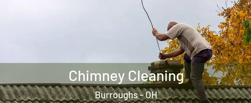 Chimney Cleaning Burroughs - OH