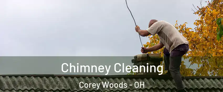 Chimney Cleaning Corey Woods - OH