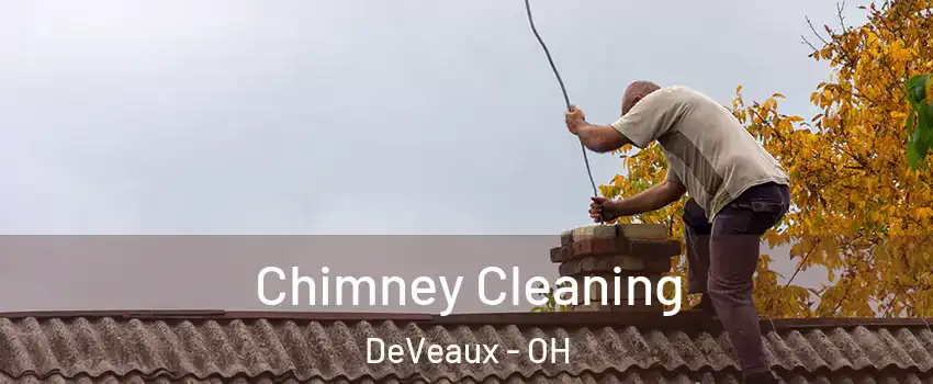 Chimney Cleaning DeVeaux - OH
